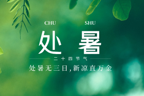 尚帝网络 | 未觉三夏尽,时序已新秋