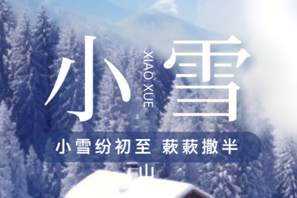 尚帝网络 | 雨雪其霏 携手同归